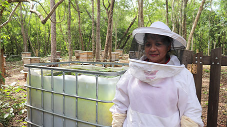 buenas-practicas-para-apicultores-de-yucatan-por-keken-2