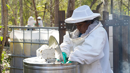 buenas-practicas-para-apicultores-de-yucatan-por-keken-4