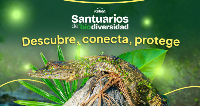 KE(AG)_banner-1-santuarios_V03