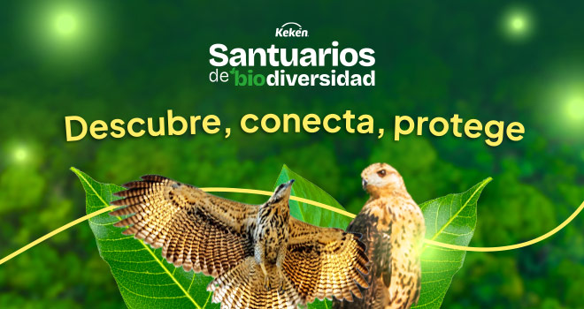 KE(AG)_banner-2-santuarios_V03