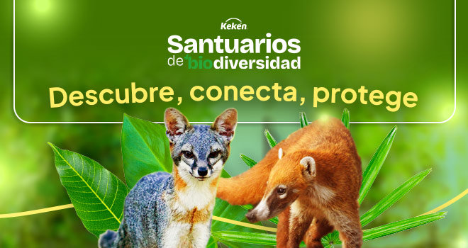 KE(AG)_banner-3-santuarios_V03
