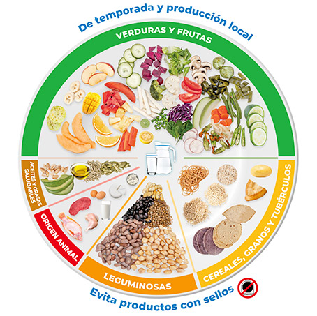 una-buena-nutricion-es-balance-variedad-y-calidad-plato-del-buen-comer-por-keken