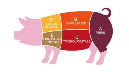 cortes-de-cerdo-y-su-aporte-nutrimental-por-keken-1